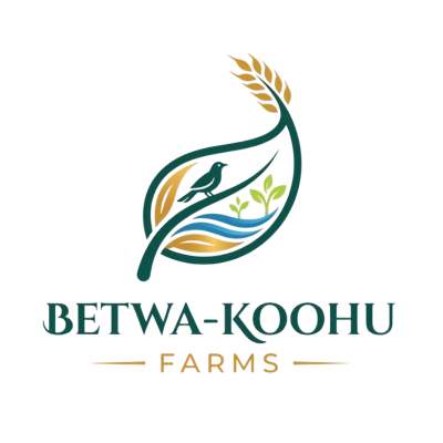 betwa koohu logo without bg final removebg preview